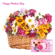 Mixed Carnations Flower - 20 Mix Carnations in Basket and Card