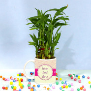 Personalized Luck - 2 Layer Lucky Bamboo Plant, Personalized Mug & Card
