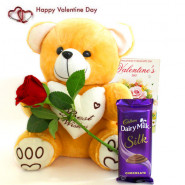 Rose for Real - Teddy 8 inches, Cadbury Dairy Milk Silk, Artificial Red Roses and Card