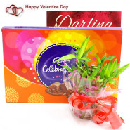 Luck N Celebration - Cadbury Celebrations, 2 Layer Bamboo Plant and Card
