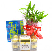 Lucky Crunch - Ferrero Rocher 16 Pcs, 3 Layer Bamboo Plant and Card