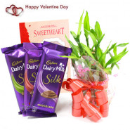 Silky Luck - 3 Dairy Milk Silk, 1 Layer Bamboo Plant and Card