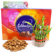 Fellow Feelings - Almond, Cadbury Celebrations, 2 Layer Bamboo Plant and Card