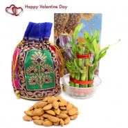 Dear Love - Almond in Potli (D), 2 Layer Bamboo Plant and Card
