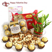 Very Likely - Almonds & Cashews, 2 Layer Bamboo Plant, Ferrero Rocher 16 Pcs, Soan Papdi 250 gms and Card