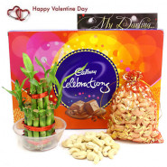 Celebrate Luck - Cashew in Potli, Cadbury Celebrations, 2 Layer Bamboo Plant and Card
