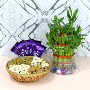 Assorted Luck - Assorted Dryfruits in Basket, 5 Dairy Milk, 2 Layer Bamboo Plant and Card