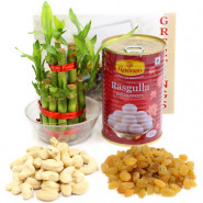 Kaju Draksh - Cashew & Raisins, Rasgulla 500 gms Tin, 3 Layer Bamboo Plant and Card