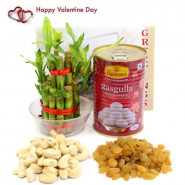 Kaju Draksh - Cashew & Raisins, Rasgulla 500 gms Tin, 3 Layer Bamboo Plant and Card