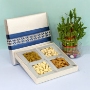 Flavor of Joy - Assorted Dryfruits, 3 Layer Bamboo Plant and Card