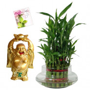 Laughing Luck - 2 Layer Lucky Bamboo, Laughing Buddha & Card