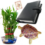 Literary Luck - 2 Layer Lucky Bamboo, Leather Diary, Bejeweled Turtle & Card