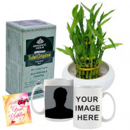 Refreshing Luck - 2 Layer Lucky Bamboo, Tulsi Original Antioxidant Rich, Tea Personalized Mug & Card