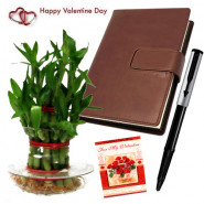 Leahter Luck - 3 Layer Lucky Bamboo Plant, Leather Diary, Parker Beta Premium Ball Pan & Card