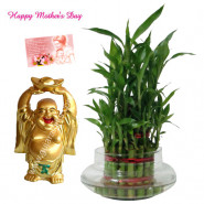Lucky Buddha - 2 Layer Lucky Bamboo Plant, Laughing Buddha and Card