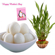 Lucky Sweet - 3 Layer Lucky Bamboo Plant, Rasgulla 500 gms and Card