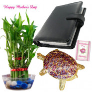 Lucky Diary with Turtle - 2 Layer Lucky Bamboo Plant, Leather Diary, Bejeweled Turtle and Card