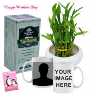 Tea Time - 2 Layer Lucky Bamboo Plant, Tulsi Original Antioxidant Rich Tea, Personlized Mug and Card
