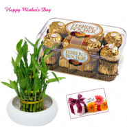 Ferrero with Bamboo - 2 Layer Lucky Bamboo Plant, Ferrero Rocher 16 pcs and Card
