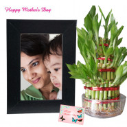 Frame with Lucky Plant - 2 Layer Lucky Bamboo Plant, Photo Frame