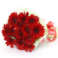 Adorable Bouquet - 20 Red Gerberas Bunch and Card