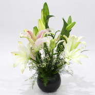 Vivid Delight - 6 Pink & White Lilies Vase and Card