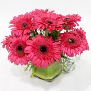 Delightful Vase - 15 Pink Gerberas Vase and Card
