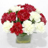 Adorable Arrangement - 15 Red & White Carnations Vase and Card