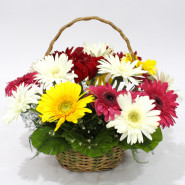 Caring Expressions - 20 Mix Gerberas Basket and Card