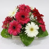 Ultimate Combo - 15 Red, Pink & White Gerberas Basket and Card