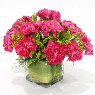 Wonderful Vase - 15 Pink Carnations Vase and Card