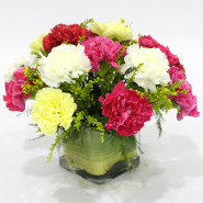 Graceful Vase - 15 Mix Carnations Vase and Card