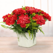 Romantic Vase - 10 Red Carnations Vase and Card
