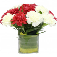 Cheerful Expressions - 10 Red & White Carnations Vase and Card