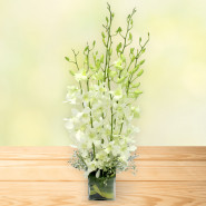 Beautiful Love - 6 White Orchids Vase and Card