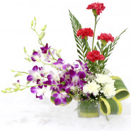 Cheerful Moments - 4 Purple Orchids, 8 Red & White Carnations Vase and Card