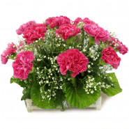Impressive Basket - 12 Pink Carnations in Basket and Card