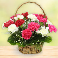 Romantic Magic - 20 Red, Pink & White Carnations Basket and Card