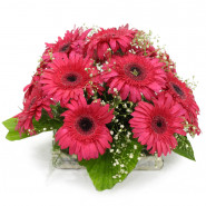 Special Delight - 12 Pink Gerberas Basket and Card