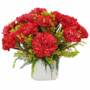 Stunning Vase - 15 Red Carnations Vase and Card