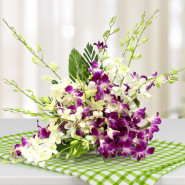 Pure Combo - 12 Purple & White Orchids Basket and Card