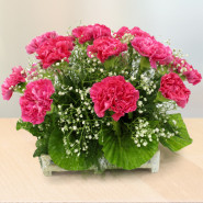Impressive Basket - 12 Pink Carnations in Basket and Card