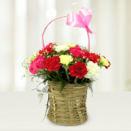 Caring Memories - 15 Mix Carnations Basket and Card