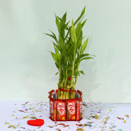 Lovely Delight - 10 Kit Kat, 2 Layer Lucky Bamboo Plant and Card