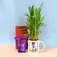 Royal Choice - 2 Layer Lucky Bamboo Plant, Personalized Photo Mug, 2 Dairy Milk Fruit n Nuts and Card