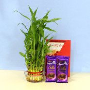 Lovely Romance - 2 Dairy Milk Silk, 2 Layer Lucky Bamboo Plant and Card