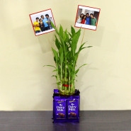 Ravishing Delight - 2 Layer Lucky Bamboo Plant, 8 Dairy Milk, 2 Stick Photo and Card