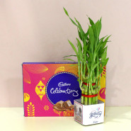 Attractive Hamper - Cadbury Celebrations, Personalized Happy Birthday Two Layer Lucky Bamboo Plant in Glass Vase and Card