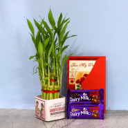 Enticing Divine - 2 Dairy Milk Fruit n Nuts, Personalized Happy Anniversary Two Layer Lucky Bamboo Plant in Glass Vase and Card