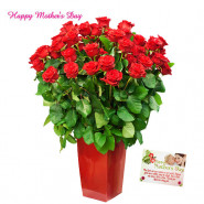 Big Vase Flowers - 50 Red Roses in Vase and card